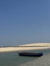 IMG_3108-scaled