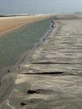 IMG_3163-scaled