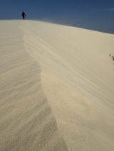 IMG_3194-scaled